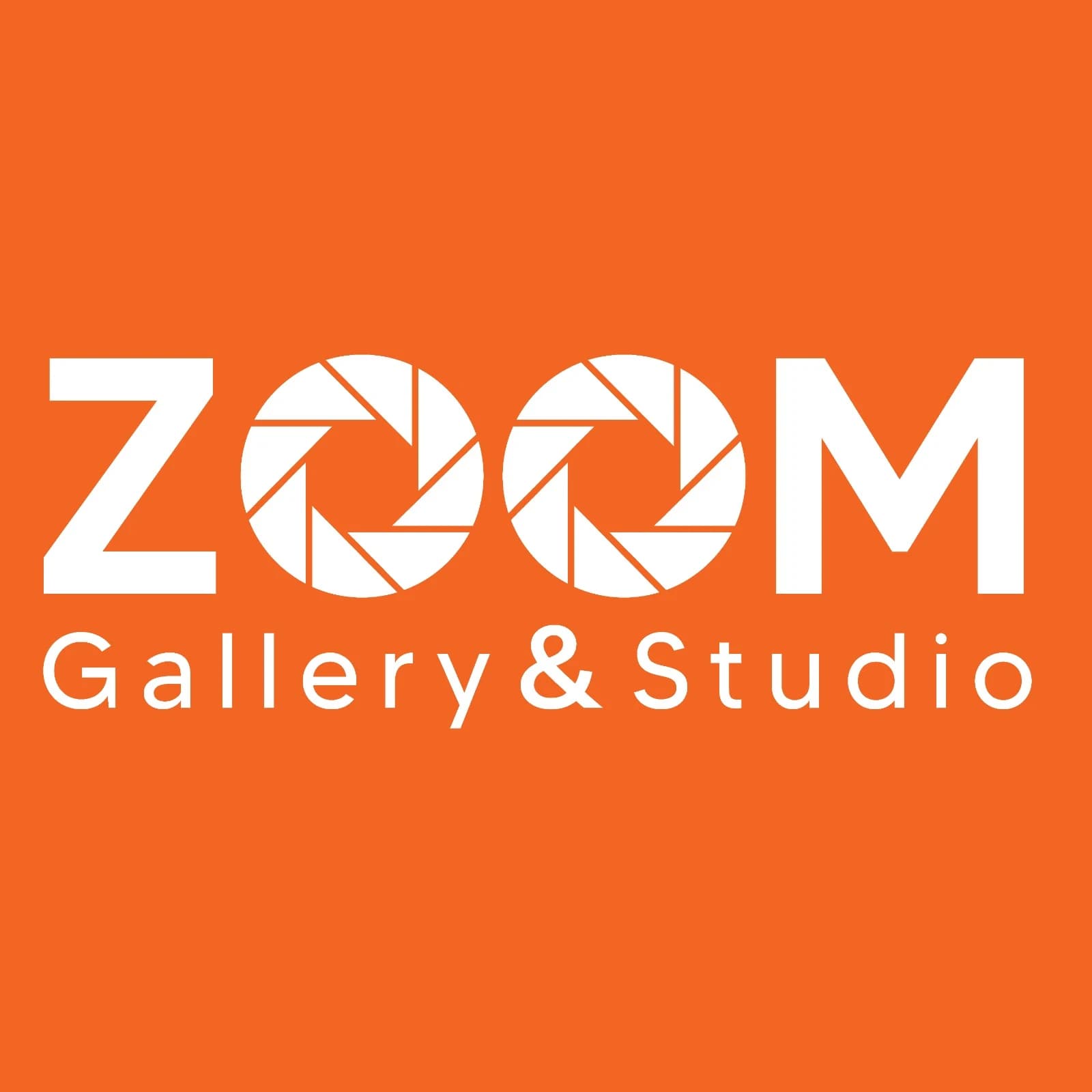 Logo Zoom Gallery & Studio