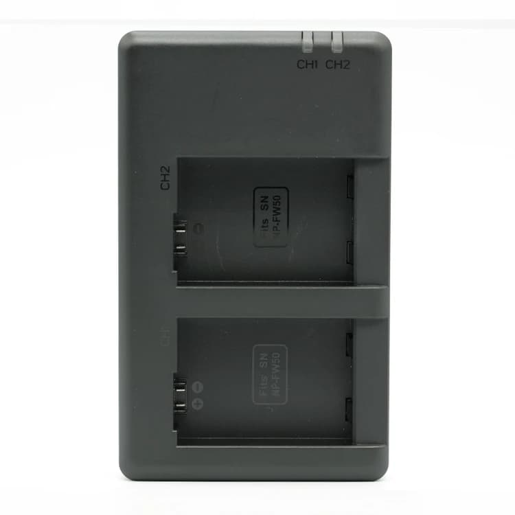 FengBiao FB-DC-FW50 ikili batareya doldurucu